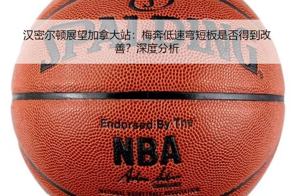 han-mi-er-dun-zhan-wang-jia-na-da-zhan-mei-ben-di-su-wan-duan-ban-shi-fou-de-dao-gai-shan-shen-du-fen-xi-2-376.jpg